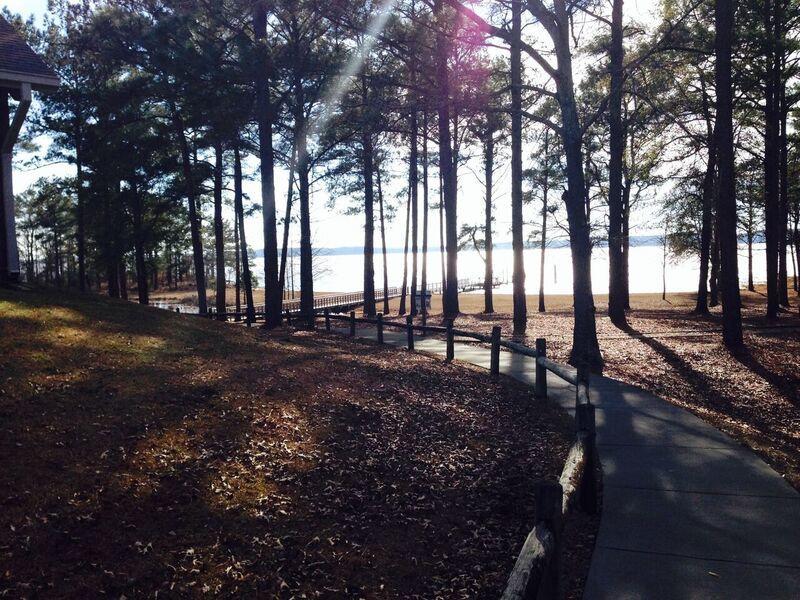 George T. Bagby State Park And Lodge Fort Gaines Buitenkant foto